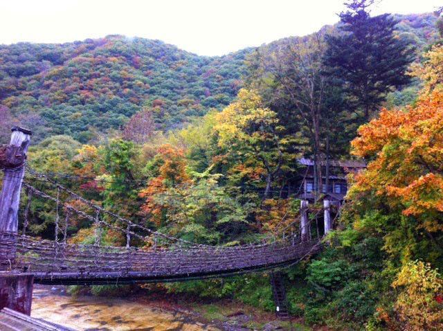 Honke Bankyu Hotel Nikko Bagian luar foto
